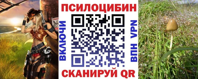 Псилоцибиновые грибы MAGIC MUSHROOMS  Киржач 