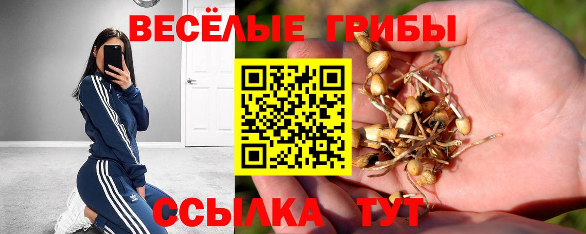 Псилоцибиновые грибы GOLDEN TEACHER Киржач